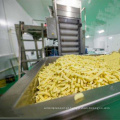 Linha de produção automática de batatas fritas